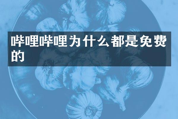 哔哩哔哩为什么都是免费的