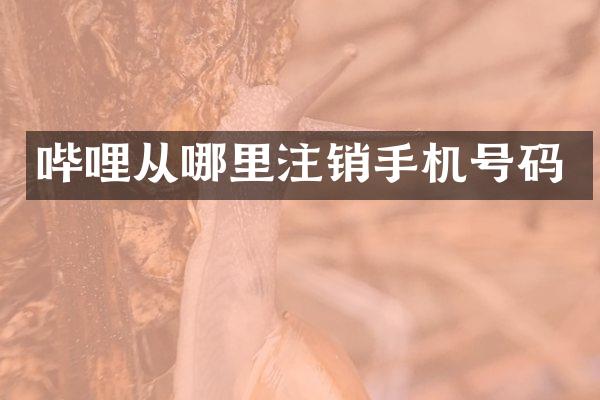 哔哩从哪里注销手机号码