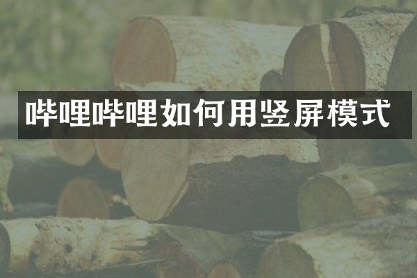 哔哩哔哩如何用竖屏模式