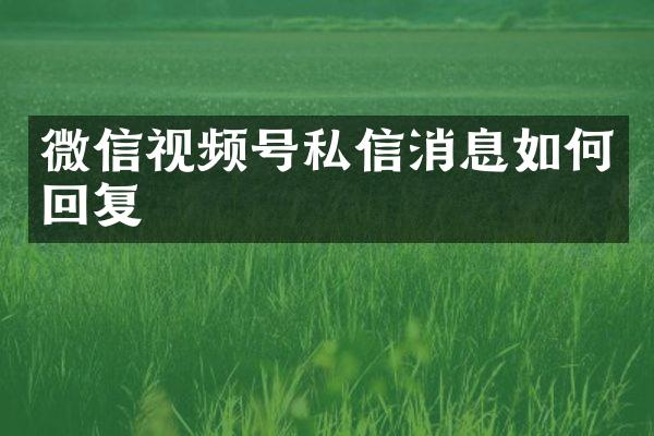 微信视频号私信消息如何回复