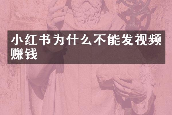 小红书为什么不能发视频赚钱