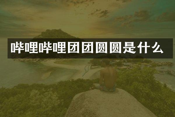 哔哩哔哩团团圆圆是什么