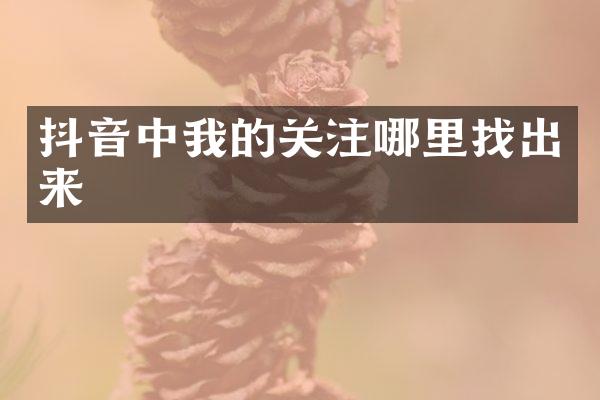 抖音中我的关注哪里找出来