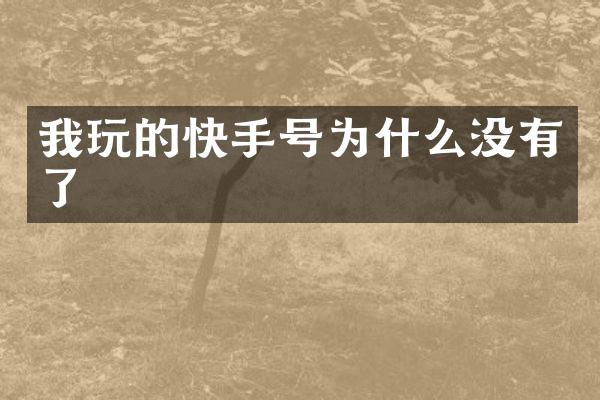 我玩的快手号为什么没有了