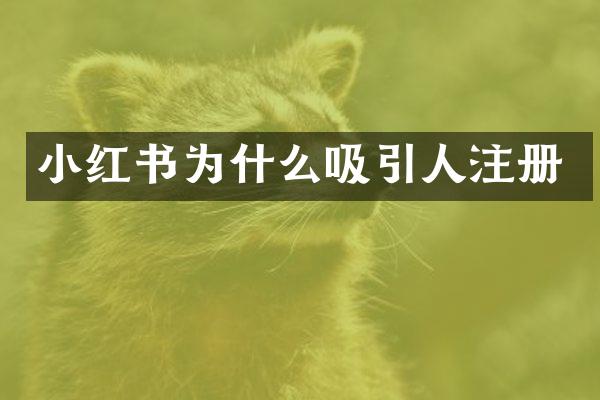 小红书为什么吸引人注册