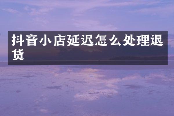 抖音小店延迟怎么处理退货