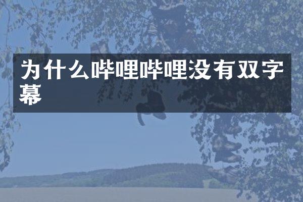 为什么哔哩哔哩没有双字幕