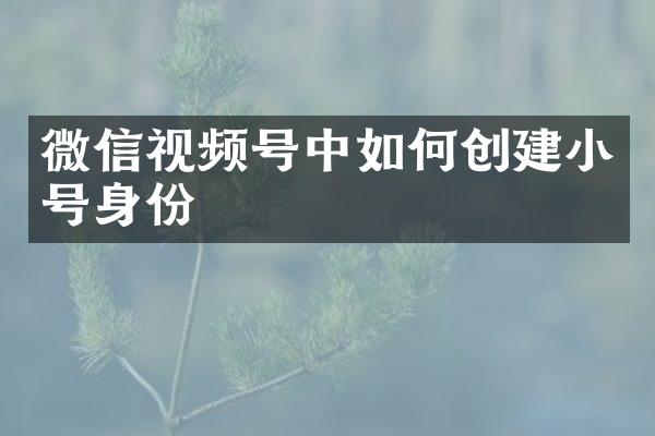 微信视频号中如何创建小号身份