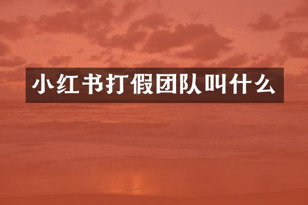 小红书打假团队叫什么