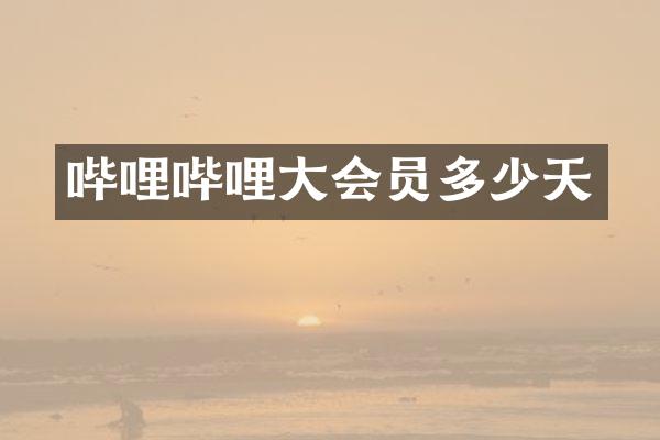 哔哩哔哩大会员多少天