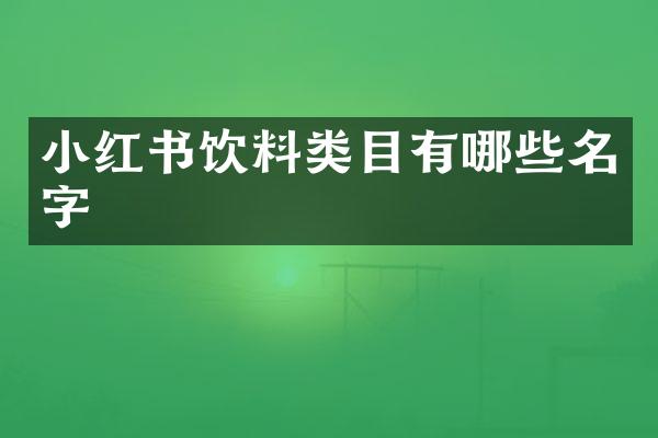 小红书饮料类目有哪些名字