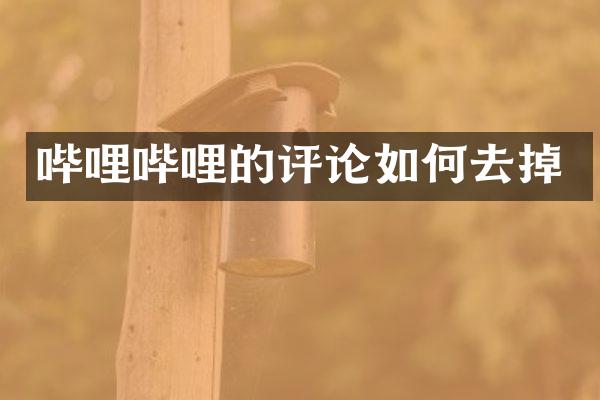 哔哩哔哩的评论如何去掉