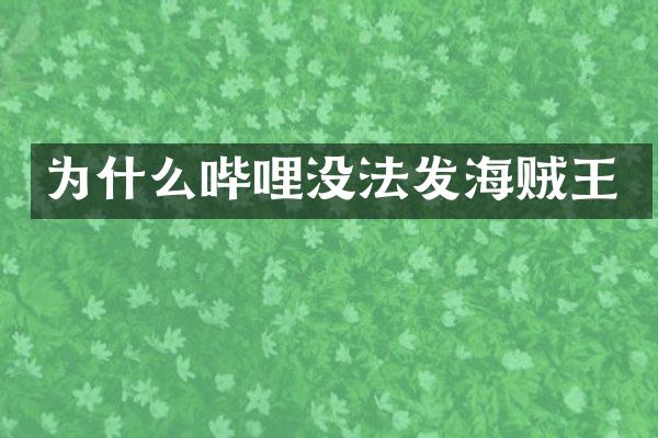 为什么哔哩没法发海贼王