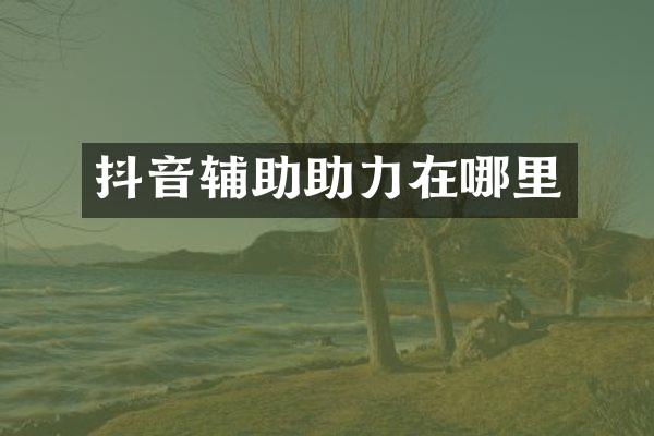 抖音辅助助力在哪里