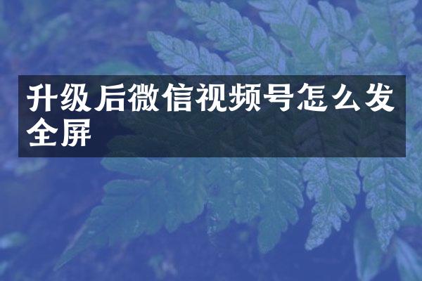 升级后微信视频号怎么发全屏