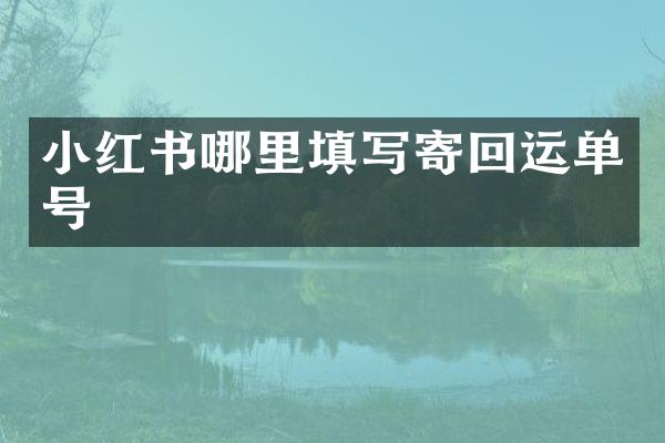 小红书哪里填写寄回运单号