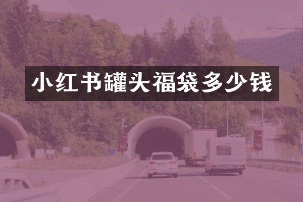 小红书罐头福袋多少钱