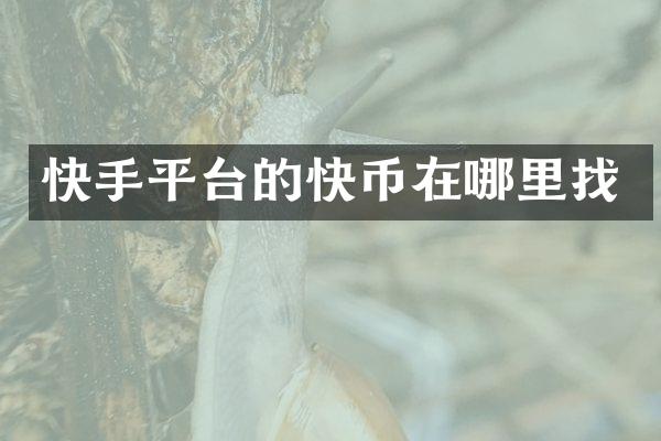 快手平台的快币在哪里找