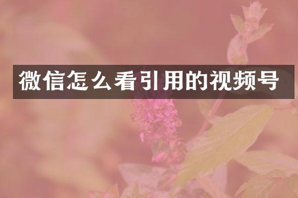 微信怎么看引用的视频号