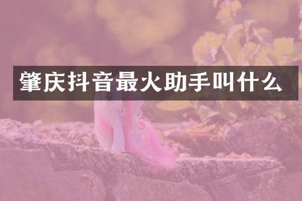肇庆抖音最火助手叫什么