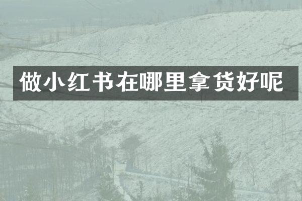 做小红书在哪里拿货好呢