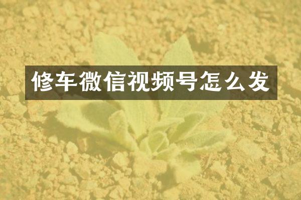 修车微信视频号怎么发