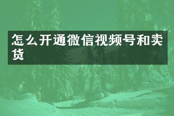 怎么开通微信视频号和卖货
