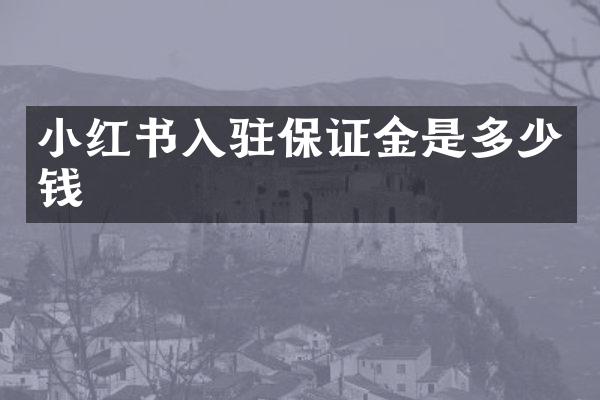 小红书入驻保证金是多少钱