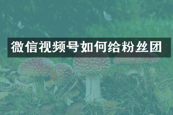 微信视频号如何给粉丝团