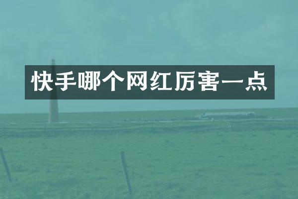 快手哪个网红厉害一点