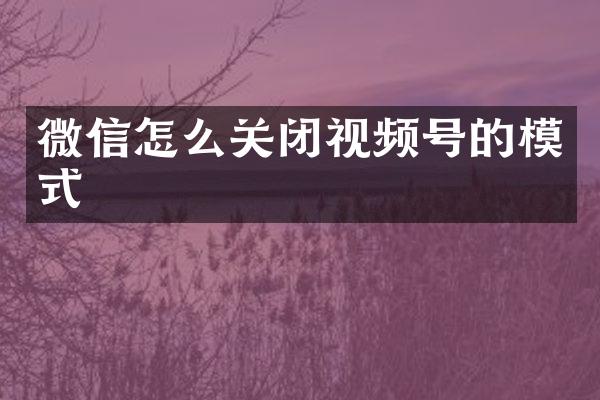 微信怎么关闭视频号的模式
