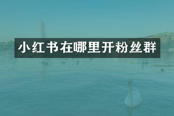 小红书在哪里开粉丝群