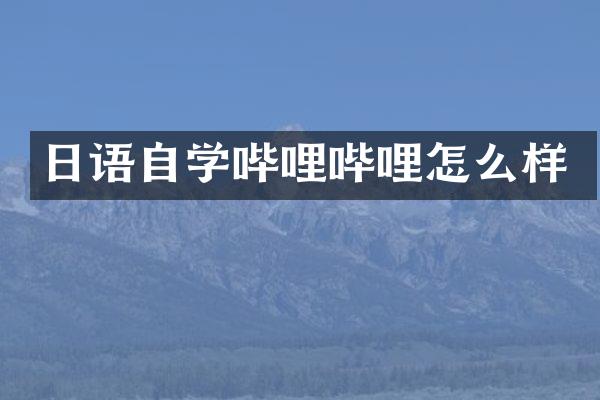 日语自学哔哩哔哩怎么样