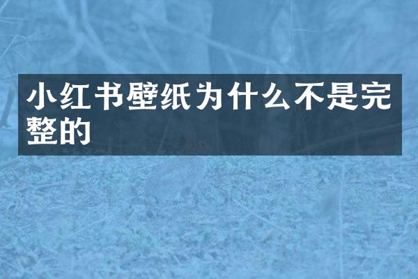 小红书壁纸为什么不是完整的