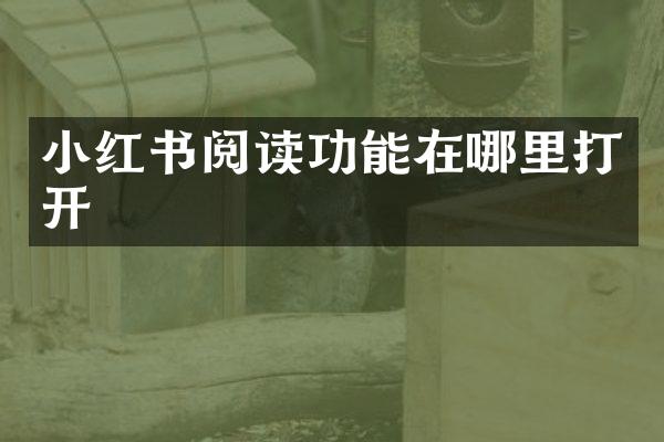 小红书阅读功能在哪里打开
