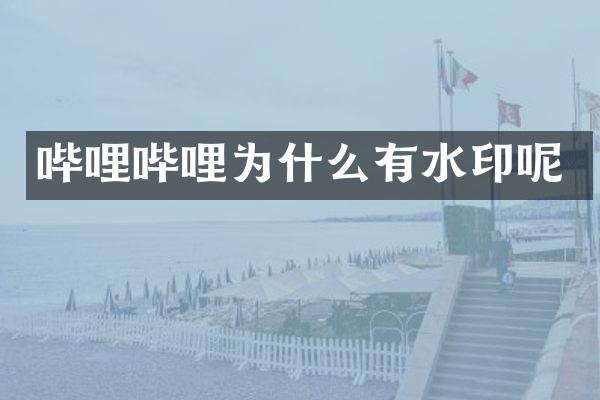 哔哩哔哩为什么有水印呢