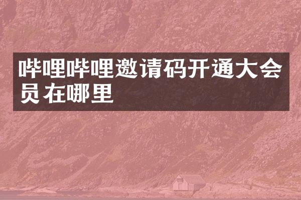 哔哩哔哩邀请码开通大会员在哪里