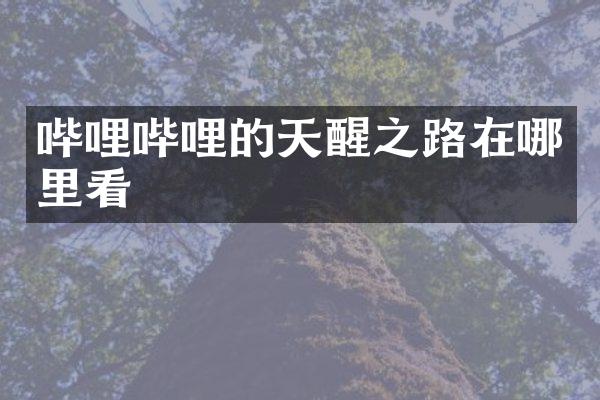 哔哩哔哩的天醒之路在哪里看