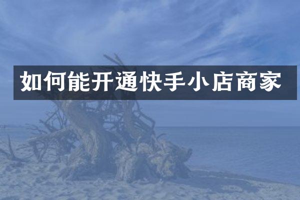 如何能开通快手小店商家