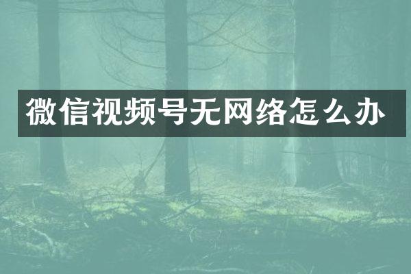微信视频号无网络怎么办