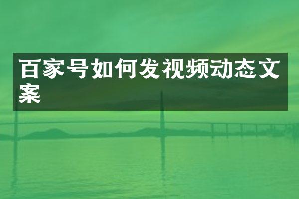 百家号如何发视频动态文案