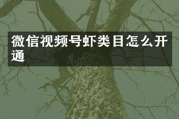 微信视频号虾类目怎么开通