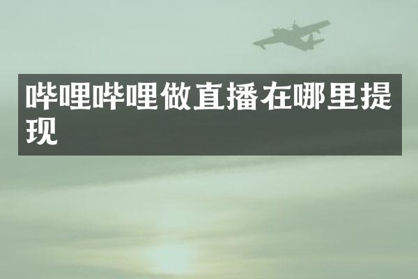 哔哩哔哩做直播在哪里提现