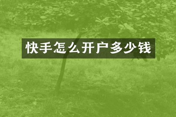 快手怎么开户多少钱