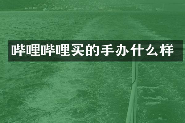 哔哩哔哩买的手办什么样