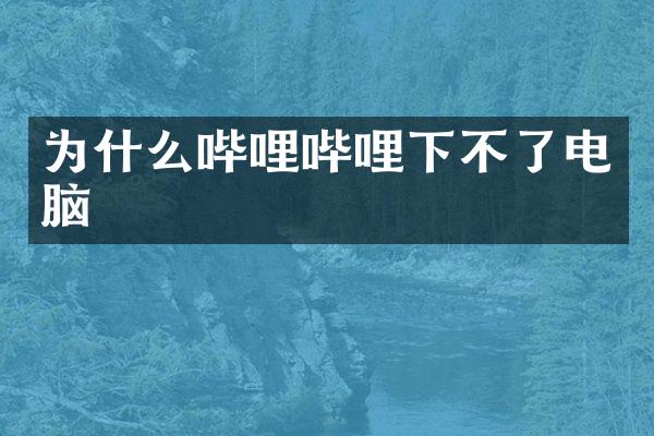 为什么哔哩哔哩下不了电脑