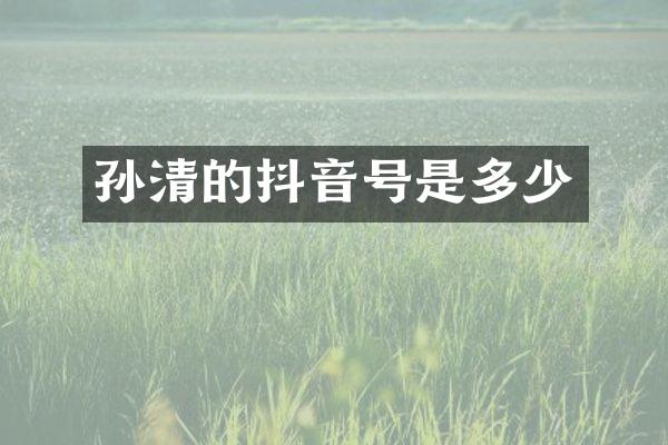 孙清的抖音号是多少