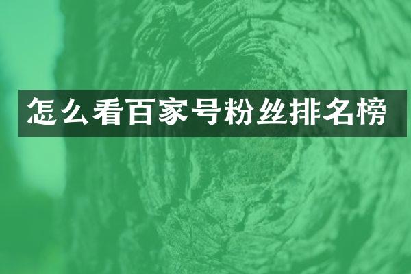 怎么看百家号粉丝排名榜