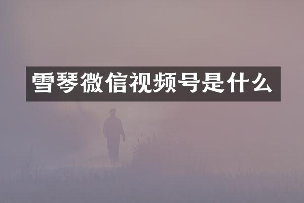 雪琴微信视频号是什么