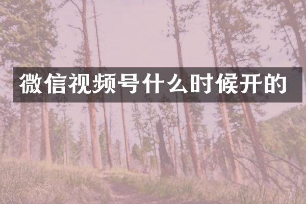 微信视频号什么时候开的
